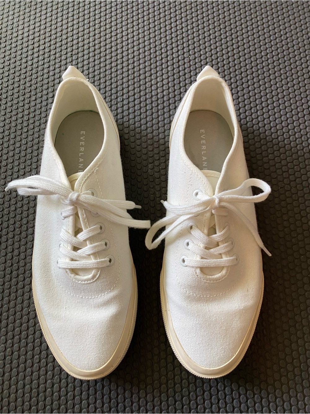 Everlane White Canvas Sneakers